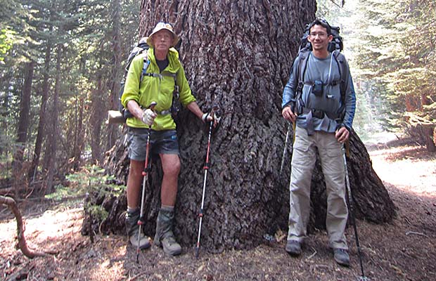 Peter and Bill by &quot;Big Red&quot; ... a very large Red Fir on the Mono Creek Trail