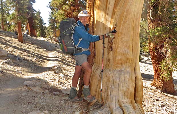 Peter tree-hugging his favorite Foxtail Pine on the Bighorn Plateau