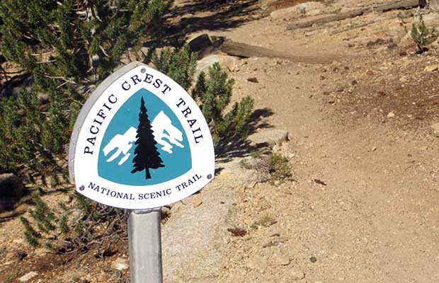 Now on the Pacific Crest Trail south of Crabtree Meadow