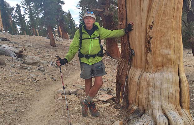 Peter relaxing by his favorite ancient Fox Tail Pine on the Bighorn Plateau.