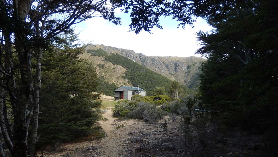 Starveall Hut located at the timberline.