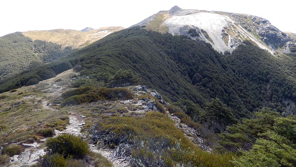 Looking north back towards Slaty Peak from Ada Flat