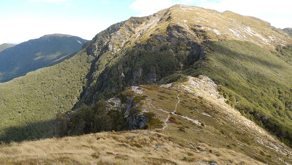 The Trail along the ridge to Old Man Peak