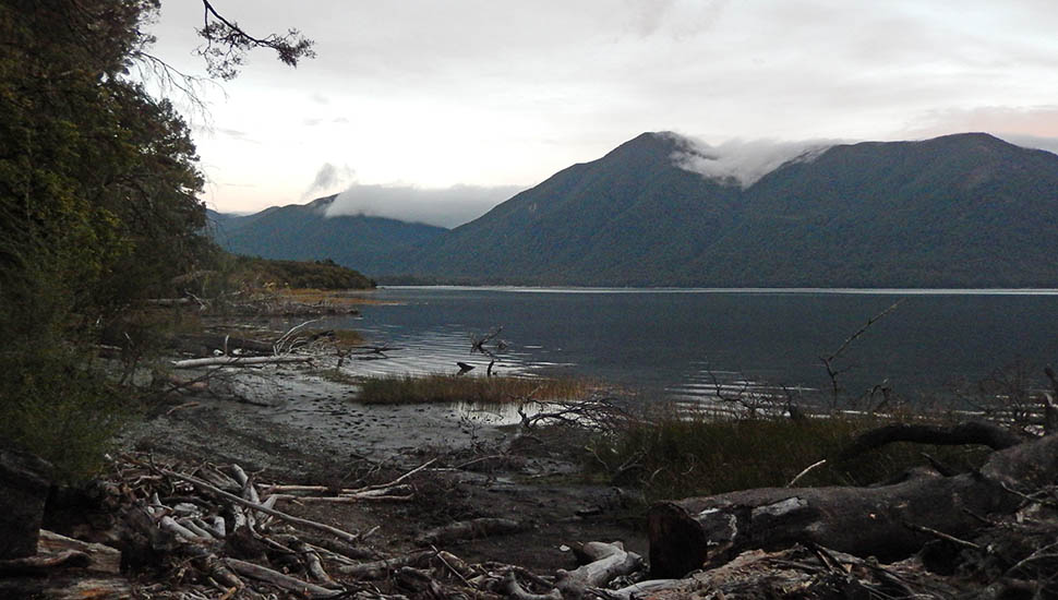 The Rotoroa lake edge by Sabine Hut [32 bunks]