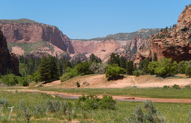 Looking north along the Hop Valley Trail - Zion NP