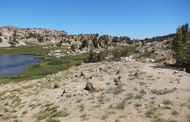 Grizzly Lake on the edge of Grizzly Meadow