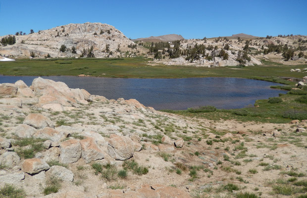 Grizzly Lake on the edge of Grizzly Meadow
