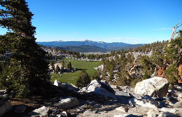 The view from the PCT, looking south to Big Whitney Meadow, in the distance.