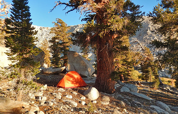 My tent at Big Fox (Tail) campsite near the outlet of Upper Soldier Lake.