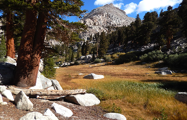My chosen route between Upper and Lower Soldier Lakes. Descent through the trees.