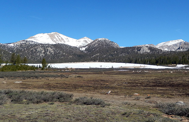 Cirque Peak seen from Horseshoe Meadow.