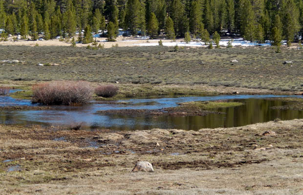 The first obstacle on Day One in Horseshoe Meadow