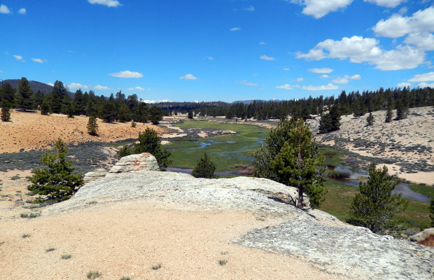 Another wet section of Dry Creek Meadow, looking west.