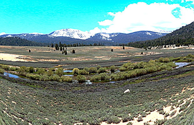 South Fork of the Kern In Strawberry Mdw. No safe crossing here!