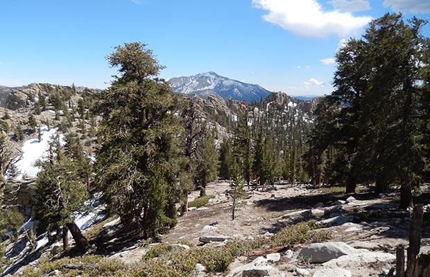 Looking south to Olanche Peak from the Death Canyon high point.