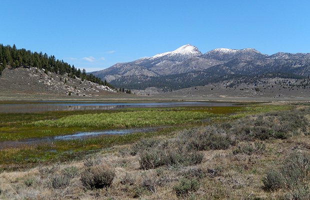View of Olanche Peak from near the PCT and South Fork of the Kern.