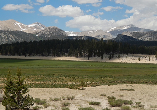 Looking north to Cirque Peak and Mt Langley from Horseshoe Meadow.