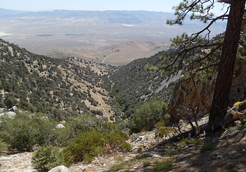 The view down to Sage Flat trailhead from the Olanche Pass trail.