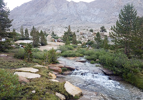 Rock Creek flowing by our main campsite in the Basin