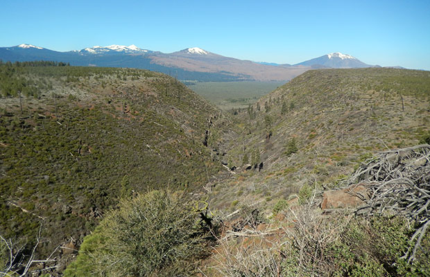 The very deep gully that's home, way down, to Lost Creek Spring