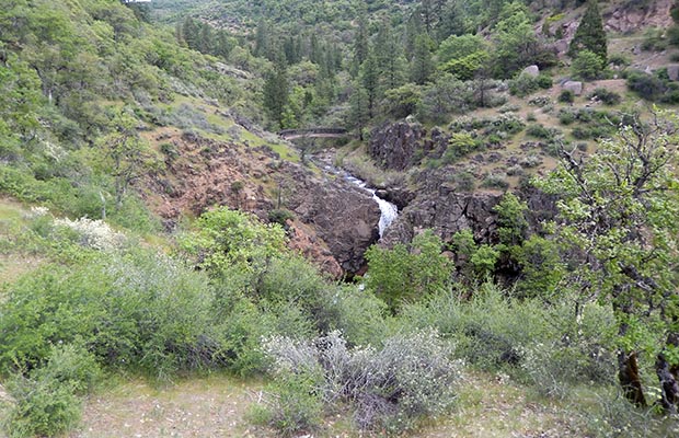 One of the two waterfalls on Rock Creek below the PCT bridge