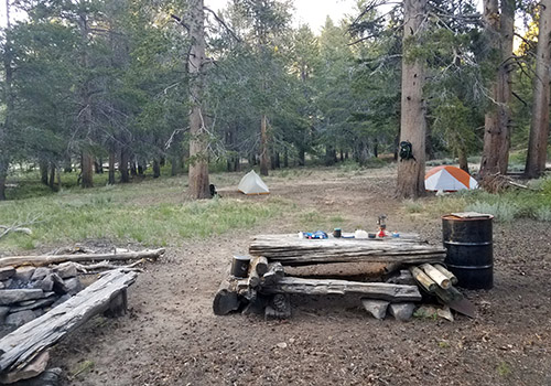Our well equipped wilderness campsite at Bear Trap Creek